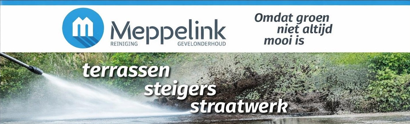 Meppelink Reiniging – Gevelonderhoud
